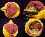 Wounaan Indio Woven Big Bird Mask Panama 3.50126  