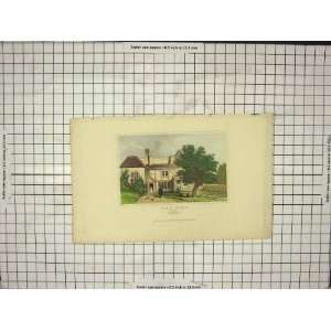  PopeS House Binfield Trees Blue Skies Garden Old Print 