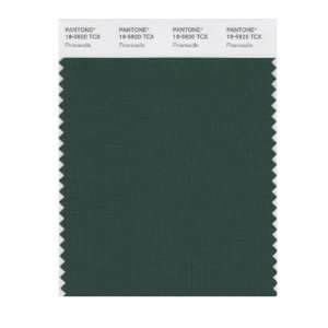  PANTONE SMART 19 5920X Color Swatch Card, Pineneedle