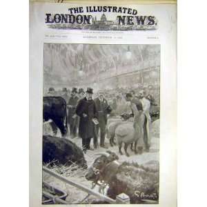  1901 King Prince Wales Smithfield Cattle Show Sheep