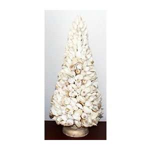  Large Bleached Assorted Natural Shell Topiary with Wood 