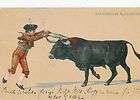 bull and matador  