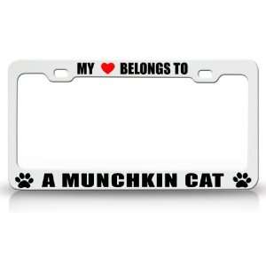  MY HEART BELONGS TO A MUNCHKIN Cat Pet Auto License Plate 