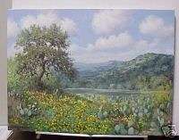 OIL PAINTING ERIC HARRISON TEXAS HILL COUNTRY IN SPRING  
