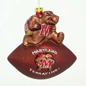  BSS   Maryland Terps NCAA Glass Mascot Football Ornament 
