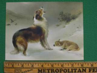 SHEPHERDS CALL COLLIE FOUND LOST LAMB SMALL SIZE LITHO  