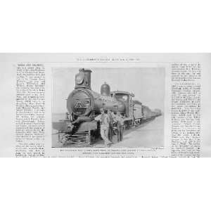   Free State Train At Norvalls Station South Africa 1899