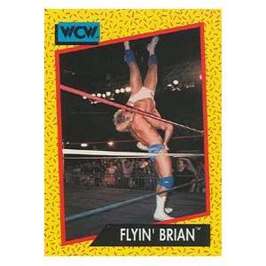   Impel Wrestling Trading Card #63  Brian Pillman
