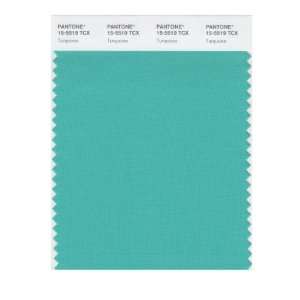  PANTONE SMART 15 5519X Color Swatch Card, Turquoise