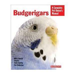  Budgerigars (Quantity of 4)