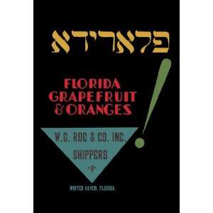  Florida Grapefruit and Oranges 12x18 Giclee on canvas 