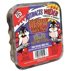  Berry Treat Suet Dough Seed Bird Food Refill Avian 