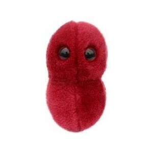   (Mini   Miniature in Size   2 3 Inches) Sore Throat (Streptococcus