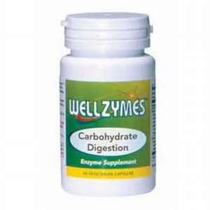  WellZymes Carbohydrate Digestion   90 Vegicaps. Health 