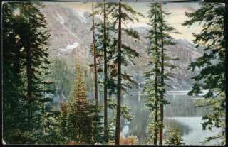 LAKE TAHOE CA Fallen Leaf Lake Head Antique 1907 Postcard Old Vtg 