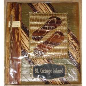  Leaf Photo Album St George Island Holds (40) 4 X 6 