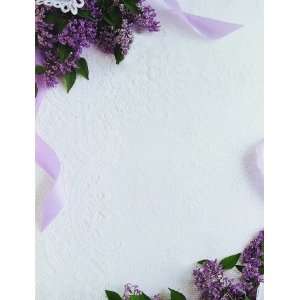   Lilacs & Lace Letterhead   8.5 x 11   100 Sheets