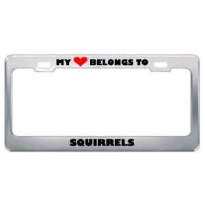 My Heart Belongs To Squirrels Animals Metal License Plate Frame Holder 