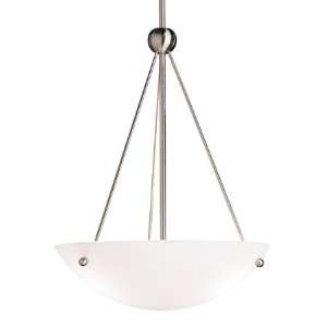  Family Spaces 1 Light Fluorescent Inverted Pendant