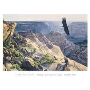  Bald Eagle over Canyon de Chelley by Dino Paravano . Art 