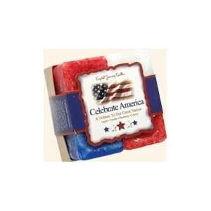  Celebrate America Scented Candle Set Collection