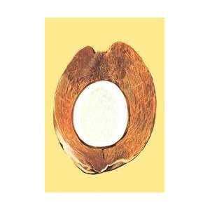  Coconut Core 28x42 Giclee on Canvas