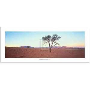  Chris Simpson   Desert Twilight Size 20x8 Poster Print 