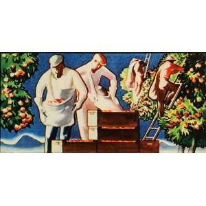 1936 Print Citrus California Fruit Exchange Crate Tree Oranges Workers 