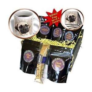 Dogs Mustiff   Bullmastiff Puppy   Coffee Gift Baskets   Coffee Gift 