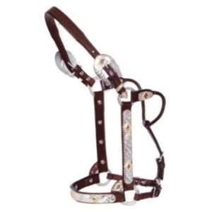    Circle Y Gold And Black Diamond Show Halter Horse