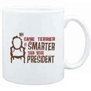   Skye Terrier IS SMARTER THAN YOUR PRESIDENT   Dogs Sports