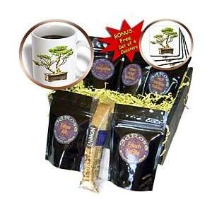   Container Garden in Green   Coffee Gift Baskets   Coffee Gift Basket