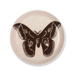  Simrin Botanical Butterfly Coasters
