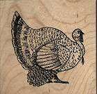 NEW mounted Thanksgiving rubber stamp Turkey Large size 3 X 3 