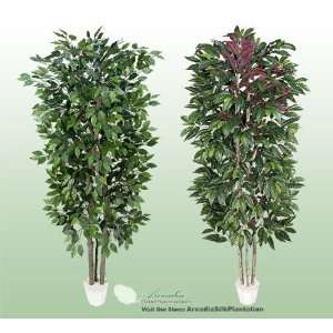  TWO 7 Very Full Artificial Trees  Ficus + Capensia with 