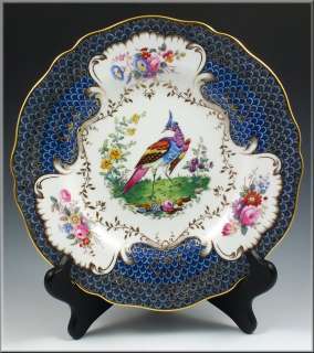 Stunning Copeland Spode Plate w/ Colorful Bird & Flowers  