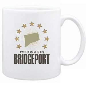   Am Famous In Bridgeport  Connecticut Mug Usa City