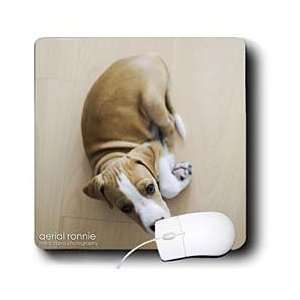   Dog   1 months old puppy resting on floor   Mouse Pads Electronics