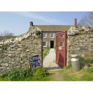  Cream Teas Sign Outside Cornish Farmhouse, Near Fowey 
