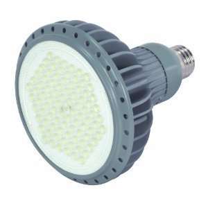   Gray, 3500K 17W Dimmable LED PAR38 Light Bulb, Flood