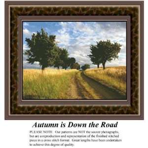   is Down the Road, Counted Cross Stitch Patterns PDF  Available