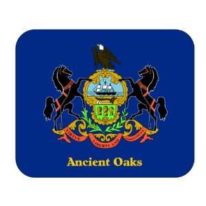  US State Flag   Ancient Oaks, Pennsylvania (PA) Mouse Pad 