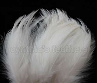 100+ Ivory 6 7 hackle rooster COQUE saddle Feathers for crafting 