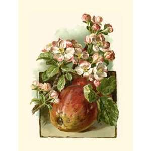  Apple Blossom by Vision studio 8x11 Electronics