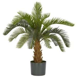  Real Looking Cycas Silk Plant Green Colors   Silk Plant 