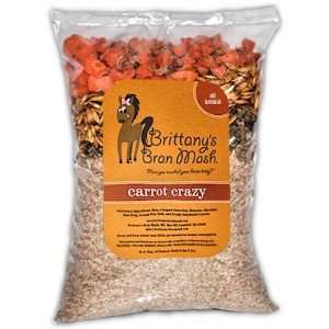  Brittanys Bran Mash for Horses   Carrot Crazy