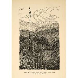   Mountain Road Cypress   Original Halftone Print
