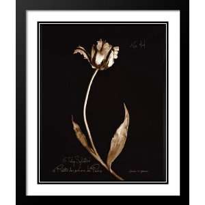 D Schommer Framed and Double Matted Print 29x35 Tulip 