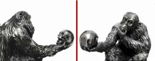 DARWIN EVOLUTION ~ Ape with SKULL FIGURINE STATUE  