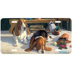 5353 We re So Sorry Basset Hound Dog License Plate Car Auto Novelty 